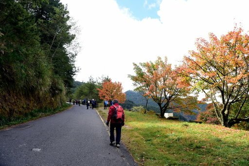 【南投信義】玉山國家公園西北園區景觀據點:塔塔加遊憩區-大鐵