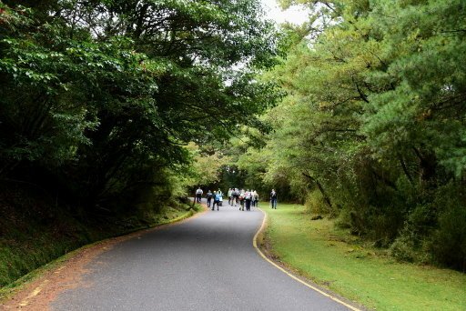 【南投信義】玉山國家公園西北園區景觀據點:塔塔加遊憩區-大鐵