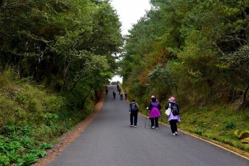 【南投信義】玉山國家公園西北園區景觀據點:塔塔加遊憩區-大鐵