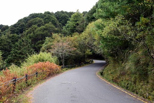 【南投信義】玉山國家公園西北園區景觀據點:塔塔加遊憩區-大鐵