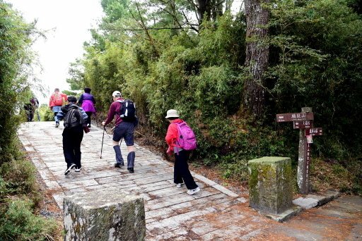 【南投信義】玉山國家公園西北園區景觀據點:塔塔加遊憩區-大鐵