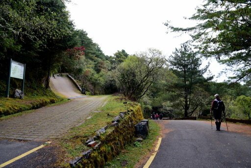 【南投信義】玉山國家公園西北園區景觀據點:塔塔加遊憩區-大鐵