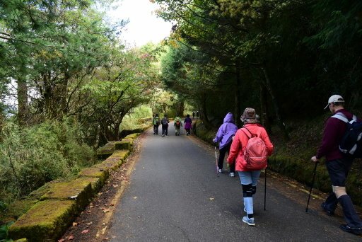 【南投信義】玉山國家公園西北園區景觀據點:塔塔加遊憩區-大鐵