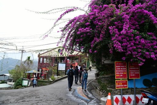 【南投縣信義鄉】全台最美最長吊橋-南投雙龍瀑布七彩吊橋(南投