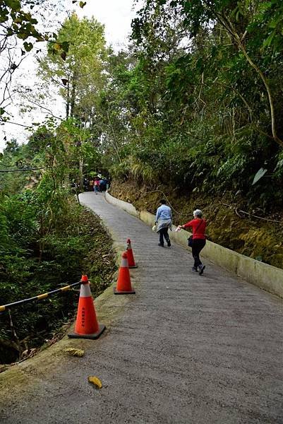 【南投縣信義鄉】全台最美最長吊橋-南投雙龍瀑布七彩吊橋(南投