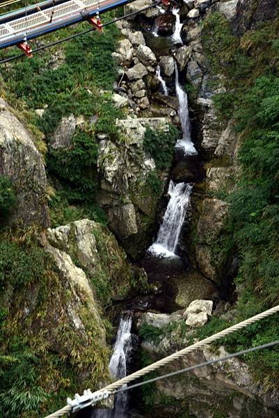 【南投縣信義鄉】全台最美最長吊橋-南投雙龍瀑布七彩吊橋(南投