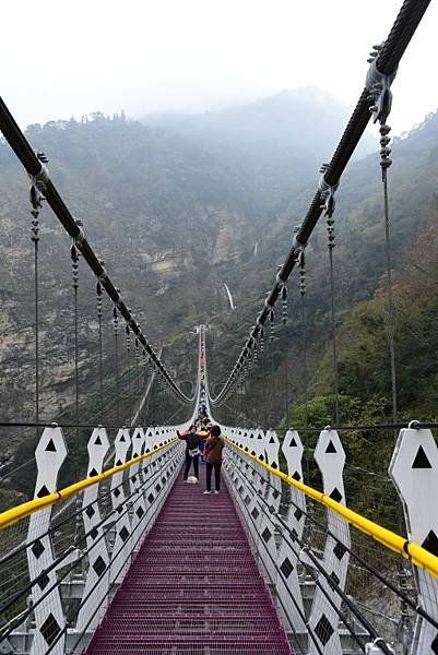 【南投縣信義鄉】全台最美最長吊橋-南投雙龍瀑布七彩吊橋(南投