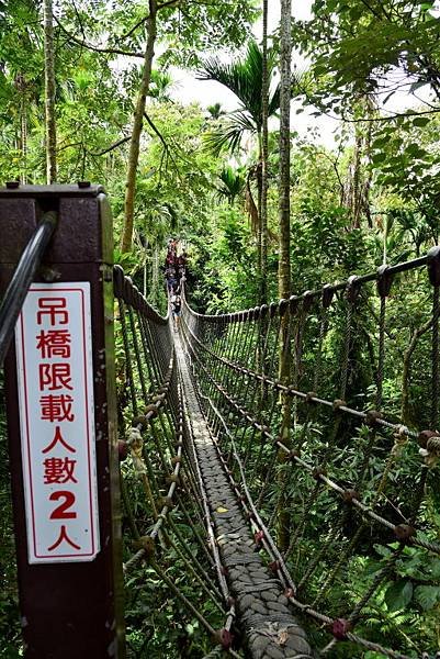 【雲林縣古坑鄉】古坑華山小天梯,松林路石版文化牆（2021.