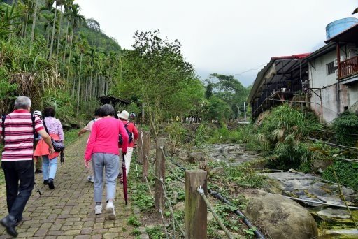 【雲林縣古坑鄉】古坑華山小天梯,松林路石版文化牆（2021.