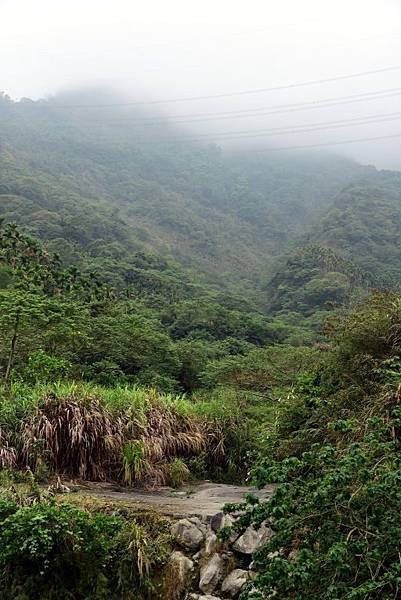 【雲林縣古坑鄉】古坑華山小天梯,松林路石版文化牆（2021.