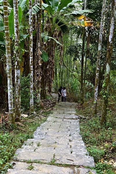 【雲林縣古坑鄉】古坑華山小天梯,松林路石版文化牆（2021.