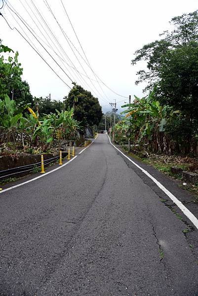 【雲林縣古坑鄉】古坑華山小天梯,松林路石版文化牆（2021.