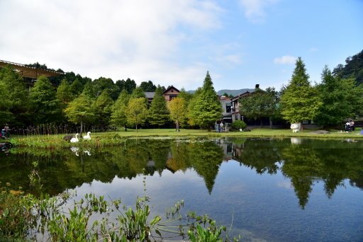 【苗栗縣南庄鄉】湖光倒影落羽松仙境-南庄雲水度假森林(東勢林