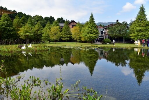 【苗栗縣南庄鄉】湖光倒影落羽松仙境-南庄雲水度假森林(東勢林