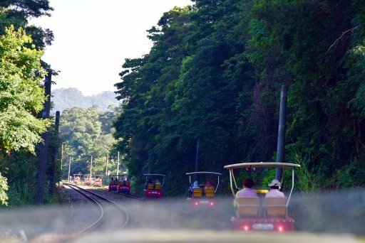 【苗栗縣三義鄉】苗栗舊山線鐵道自行車 (武界秘境尋奇3日遊之