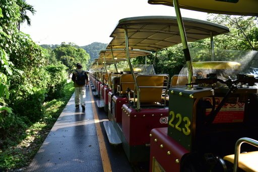 【苗栗縣三義鄉】苗栗舊山線鐵道自行車 (武界秘境尋奇3日遊之