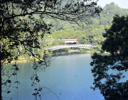 【南投縣魚池鄉】日月潭向山自行車道-向山眺望平台＆向山遊客中