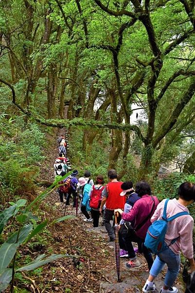 【屏東縣霧台鄉】月亮來過的部落-神山部落,【高雄市茄萣區】興