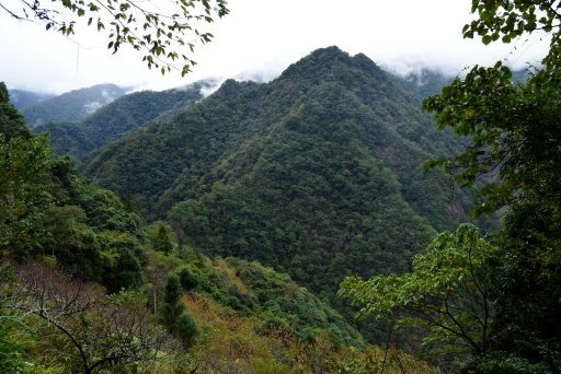 【新竹縣尖石鄉】新竹知名賞楓景點-霞喀羅國家步道(霞喀羅古道