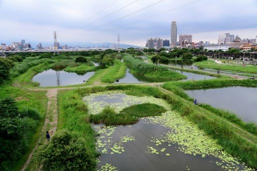 【新北市新莊區】2020璀璨新月橋幸福光雕展-超大婚戒,巨型