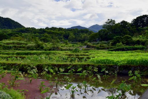 【新北市金山區】八煙聚落