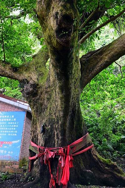 【宜蘭縣員山鄉】坐上鐵牛力阿卡遊內城社區