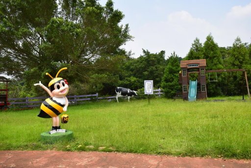 【桃園市大溪區】大溪花海農場賞花 (104年暑期之旅之8)