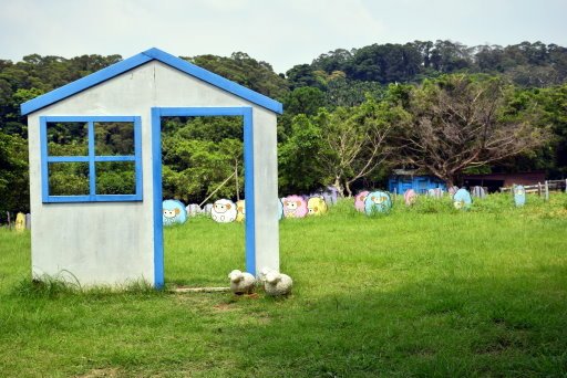 【桃園市大溪區】大溪花海農場賞花 (104年暑期之旅之8)