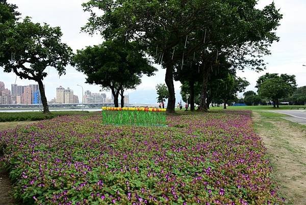 【台北市大同區】2022大稻埕延平河濱公園花海-萬紫千紅如彩