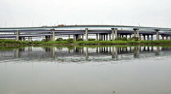 【新北市板橋區】藍色公路-華江人工溼地之旅