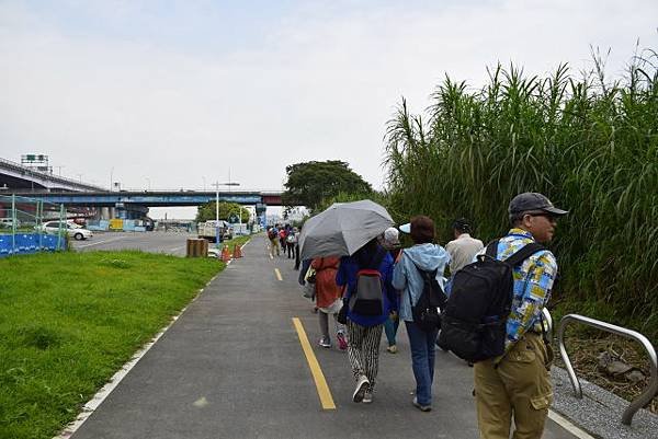 【新北市板橋區】藍色公路-華江人工溼地之旅