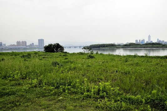 【新北市板橋區】藍色公路-華江人工溼地之旅