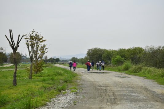 【新北市板橋區】藍色公路-華江人工溼地之旅