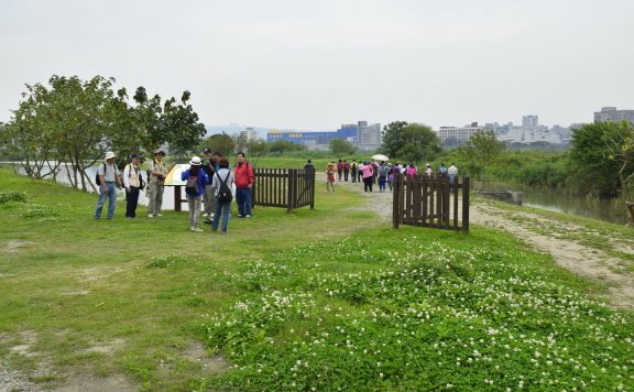 【新北市板橋區】藍色公路-華江人工溼地之旅