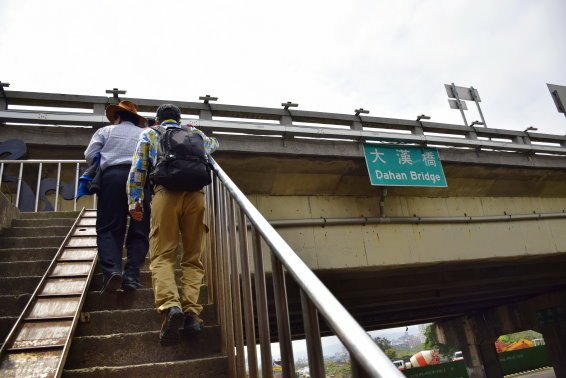 【新北市板橋區】藍色公路-華江人工溼地之旅