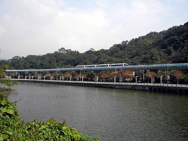 大湖公園 (2).jpg