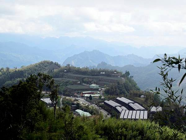 隙頂二延平步道 (8).jpg