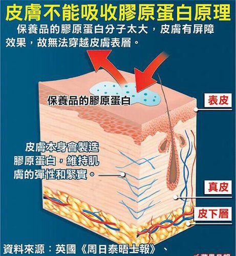 膠原蛋白膠原蛋白粉超音波拉皮極線音波拉皮電波拉皮液態拉皮04