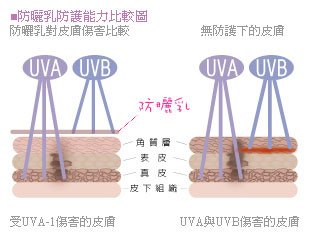 防曬乳隔離霜美白美白針3