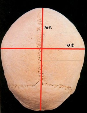 上立皮膚科 費用 林上立 價格 林上立 評價 林上立 液態拉皮上立提 液態拉皮 推薦 3D聚左旋乳酸 舒顏萃 童顏針 3D聚左旋乳酸 價格 3D聚左旋乳酸 費用02.png