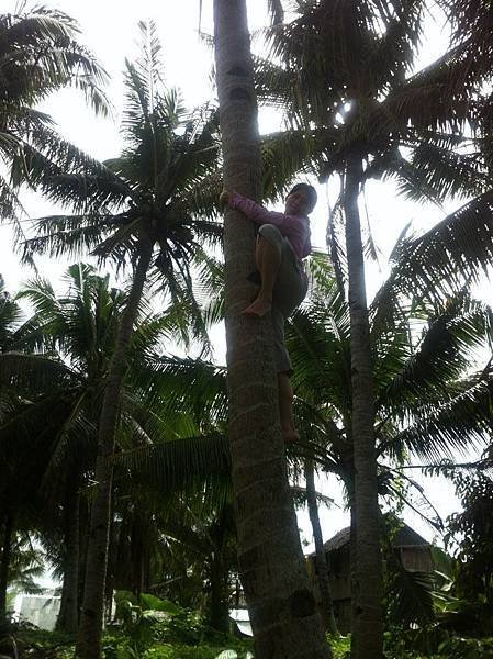 口渴需要攀岩技巧 才能喝到coconut水