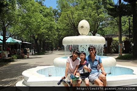 IMG_4038 (Medium)