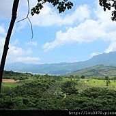 IMG_4050 (Medium)