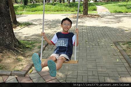 IMG_4074 (Medium)