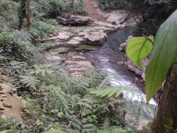 DSC01124.JPG