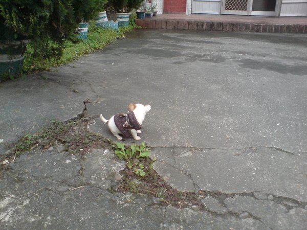 DSC01167.JPG