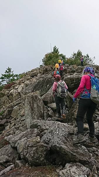 8:19白毛屋東5.jpg