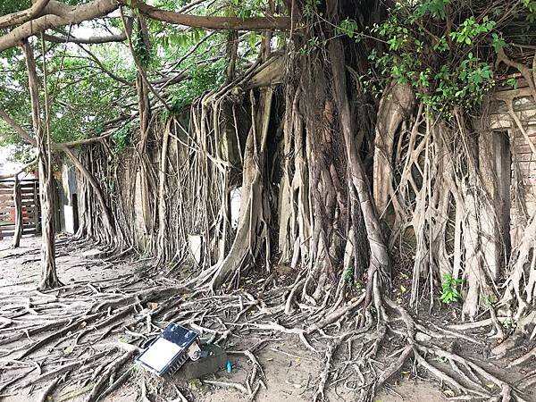 台南下雨天旅遊