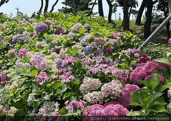 釜山趣･◡･ 米斯湘 - 5.PNG