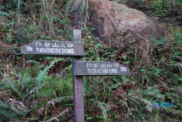 茶壺山-40.jpg
